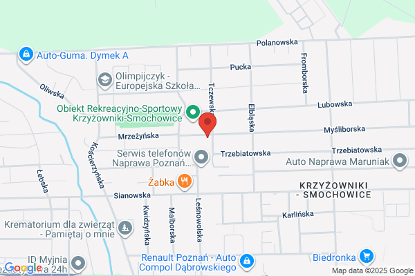 Przedszkole nr 14 Publiczne. Polne Kwiaty