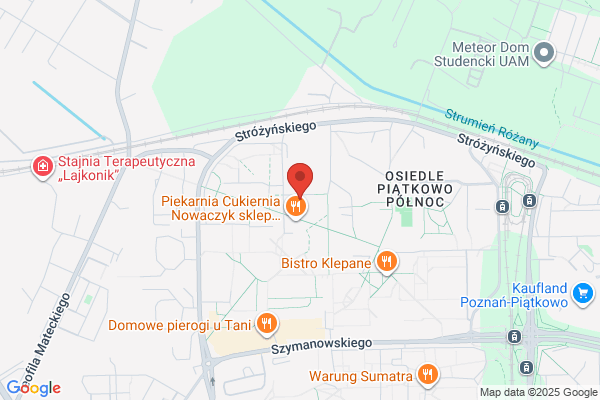 Przedszkole nr 182. Król Elfów