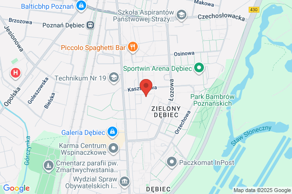 Przedszkole nr 81. Skrzata Borodzieja