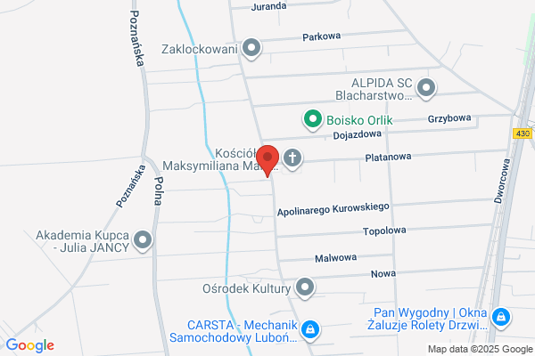 Emsa. Przesylki kurierskie do USA. Rochowiak M.