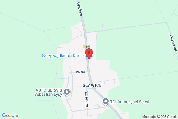 Karpik. Sklep rybny. Pohl A.
