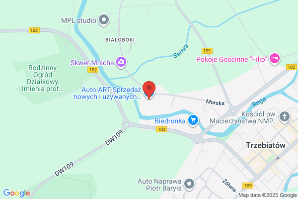 Autoczesci. Sklep z czesciami samochodowymi. Nowak P.