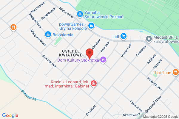 Blacharstwo samochodowe. Górecki J.