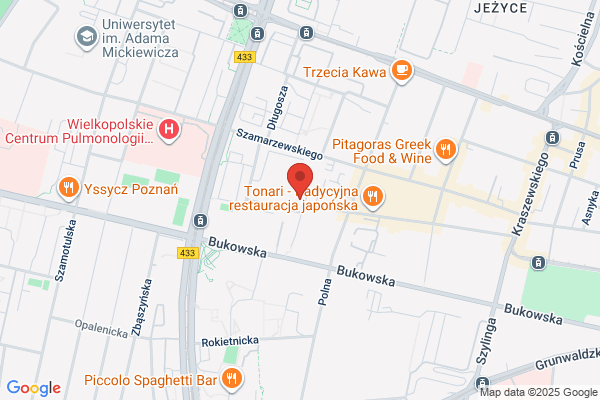 Autonadwozia. ZPU. Matczak A.