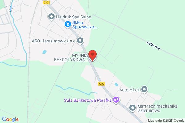 Borsukiewicz Miroslawa. Automyjnia