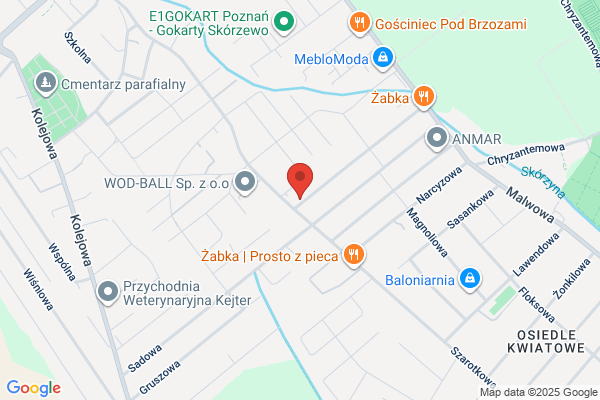 Czaplinski Zdzislaw. Mechanika pojazdowa i blacharstwo
