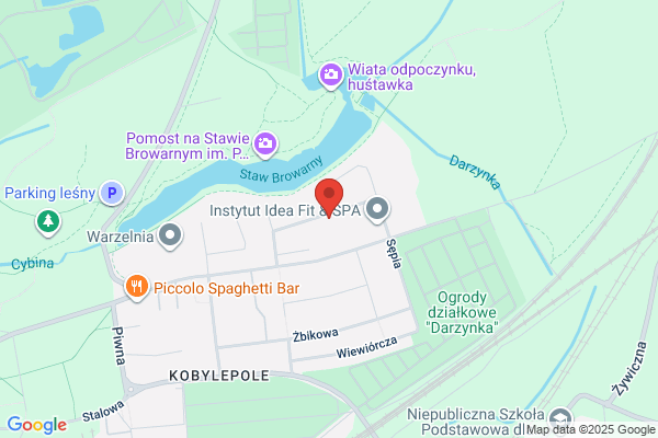 Dajksler Kazimierz. Warsztat naprawy samochodów