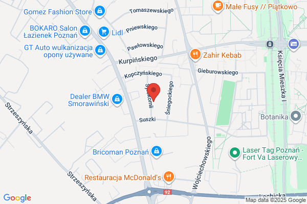 Leitgeber P. Autoserwis. Samochody japonskie
