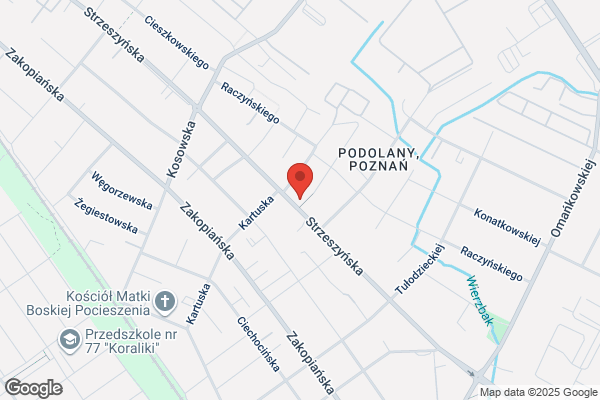 Piasecki Slawomir. Montaz recznego sterowania samochodem