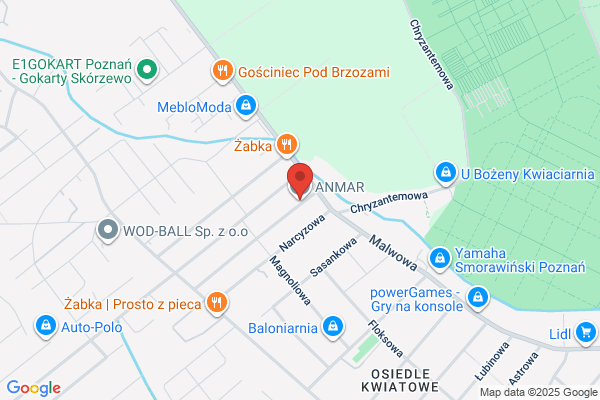 Anmar. Naprawa uszkodzen szyb samochodowych. Sykut Andrzej, inz.