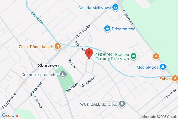 Rothe Michal. Tapicerstwo samochodowe. Zabudowa busów, samochodów ciezarowych