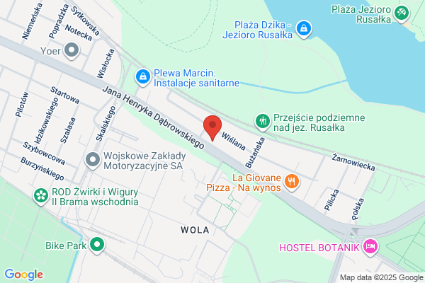 217. Tlumiki. Ptaszynski P.