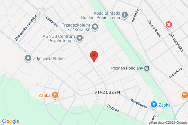 AKM. Wypozyczalnia samochodówinfolinia: