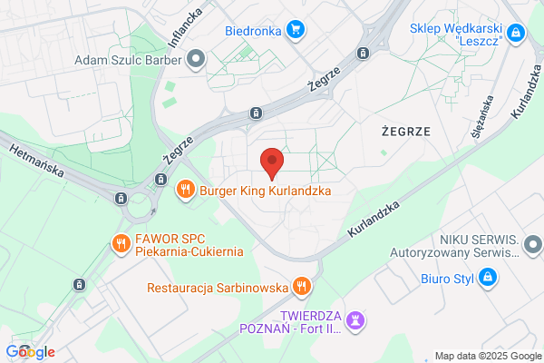 Legwan. Sklep zoologiczny. Kaczmarski M.