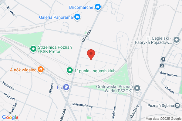 Renoskór. Naprawa i przerabianie odziezy ze skór licowych. Piechowiak M.