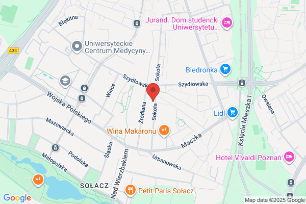 Biedronka