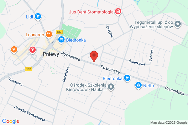 Polski Koncern Naftowy Orlen SA. Stacja paliw