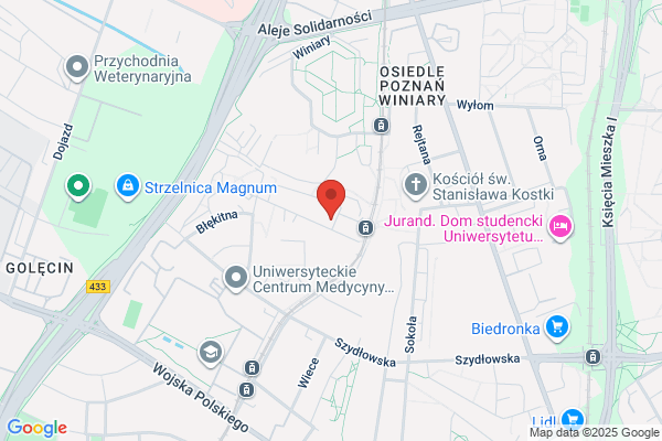 Albert. Supermarket firmy Ahold Polska. Sp. z o.o.