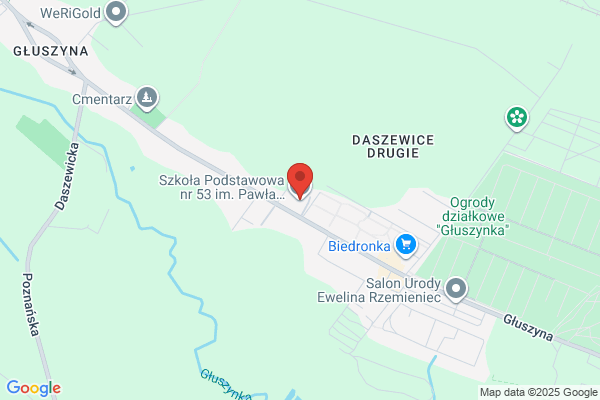 Gimnazjum nr 53 im. P.E. Strzeleckiego