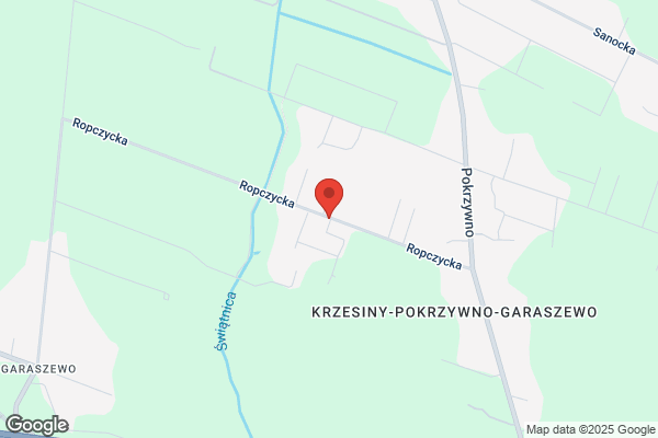 Maly Botanik. Drzewa i krzewy ozdobne. Kleczewski K.