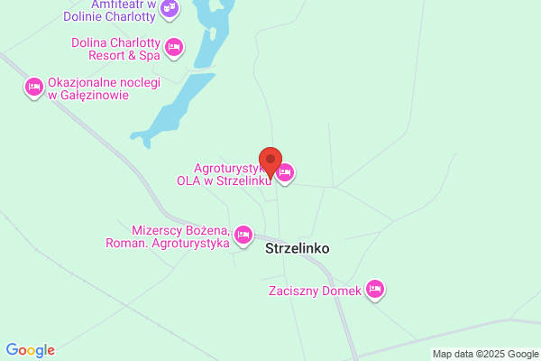 Szkólka drzew i krzewów ozdobnych. Zaklad Produkcji Ogrodniczej Zarzadu Zieleni Miejskiej