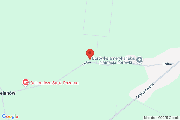 Dana. Firma Handlowa. Lewandowska D.