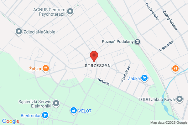 Midio. Biuro tlumaczen. Prostak M.