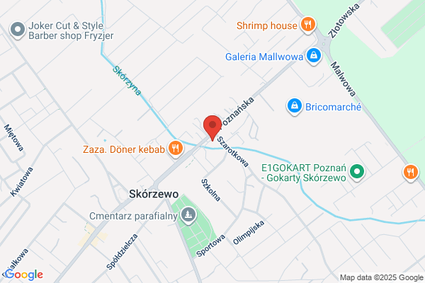 Danielewski Kazimierz. Uslugi transportowe