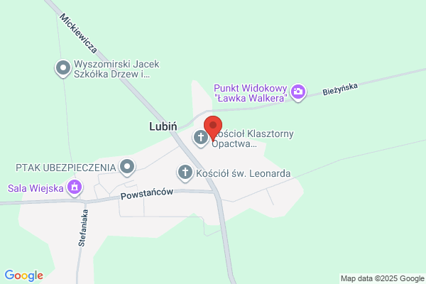 Krzywinska Kolej Drezynowa. Wesierski T.