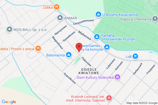 Ampol. Transport samochodowy