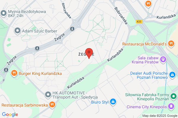 Cyrkonia. Zegarmistrz