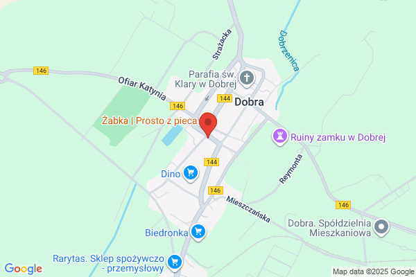 Akcesoria dla psów - ubrania, obroże i smycze w cocopaws.pl