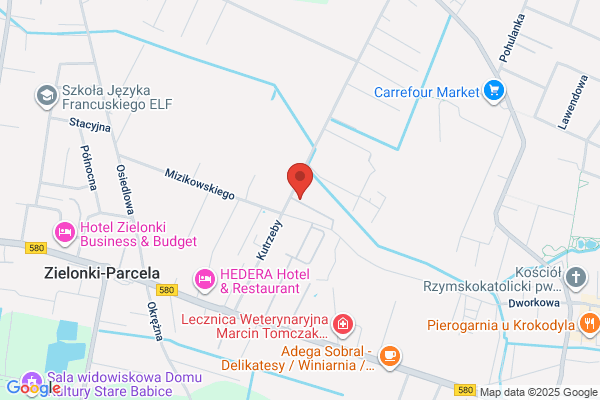 Wiko. Producent kolczatek, obroz dla psów. Koziczak W.