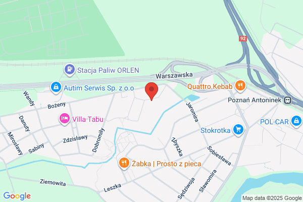 Panda. Strzyzenie psów. Swietek W.
