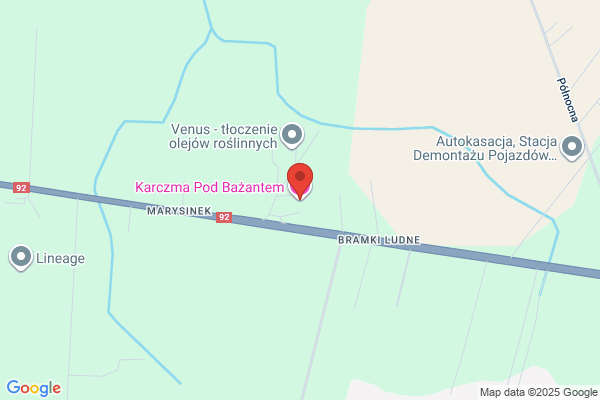 Pod Bazantem. Bar