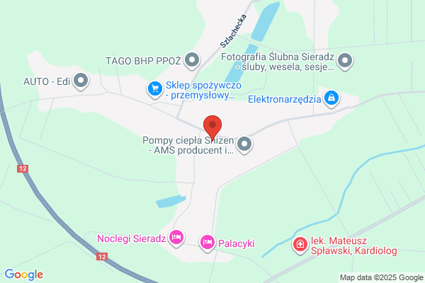 Budzinski Marek. Autoczesci, naprawa