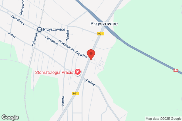 Juszynska Aleksandra. Sklep z art. rolnymi i spozywczymi