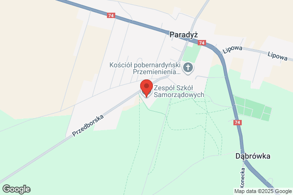 Gimnazjum Zespolu Szkól Samorzadowych im. AK OP Blysk