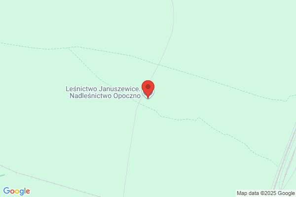 Lesnictwo Rozenek. Nadlesnictwo Opoczno