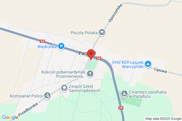 Polski Koncern Naftowy Orlen SA. Stacja paliw