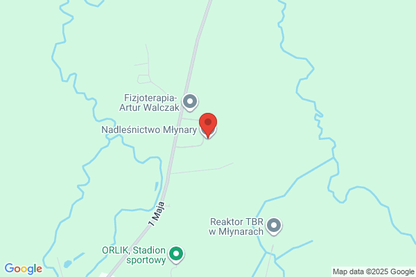 Lesnictwo Stepniewo. Nadlesnictwo Mlynary