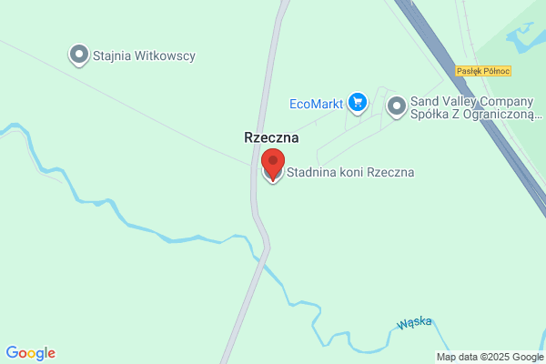 Rzeczna. Sp. z o.o. Stadnina koni
