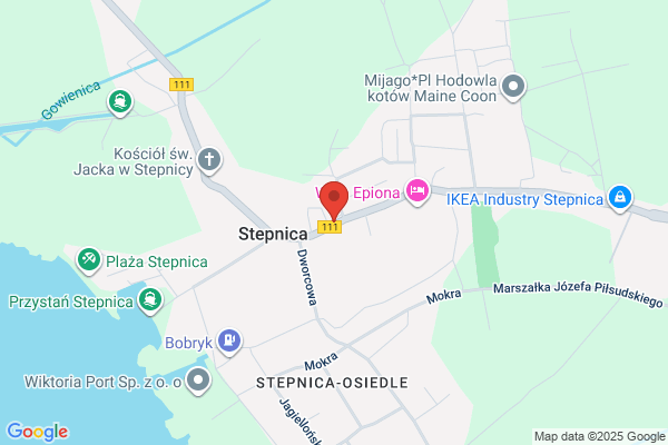 Stokrotka. Kwiaciarnia. Kowalczyk J.