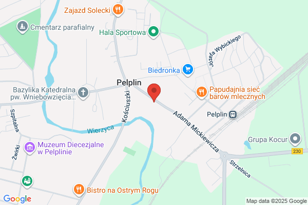 Owsiak. PHU. Wynajem busów i autokarów