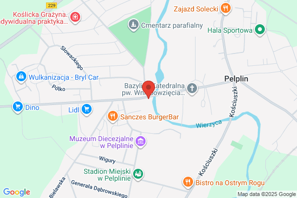 Polski Koncern Naftowy Orlen SA. Stacja paliw
