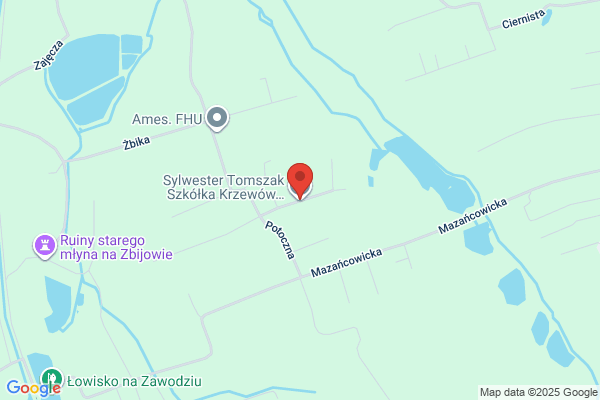 Domzol Antonina. Sprzedaz krzewów ozdobnych