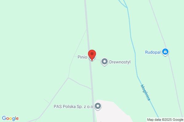 Pinio. Sulek Z.
