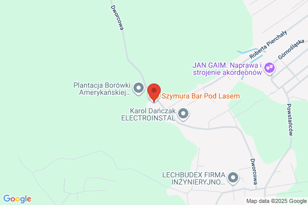 Pod Lasem. Pijalnia piwa. Zaleskiewicz M.