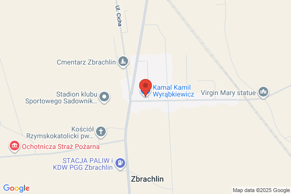 Branecki Kamil P. Logistyka