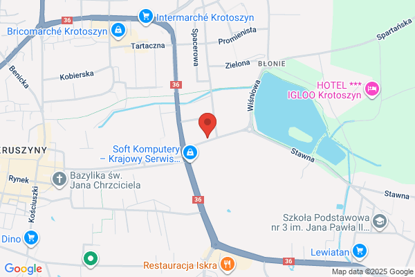 Janiak A. Kamieniarstwo nagrobkowe